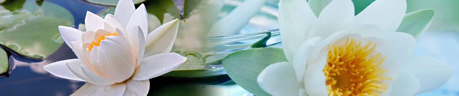 Acupuncture Medical Treatment North Carolina